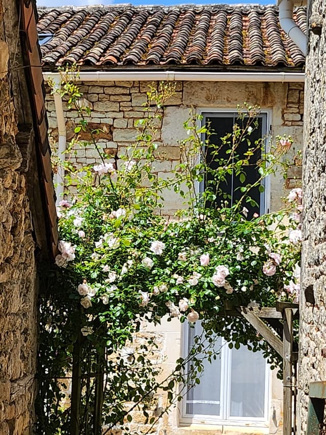gite image